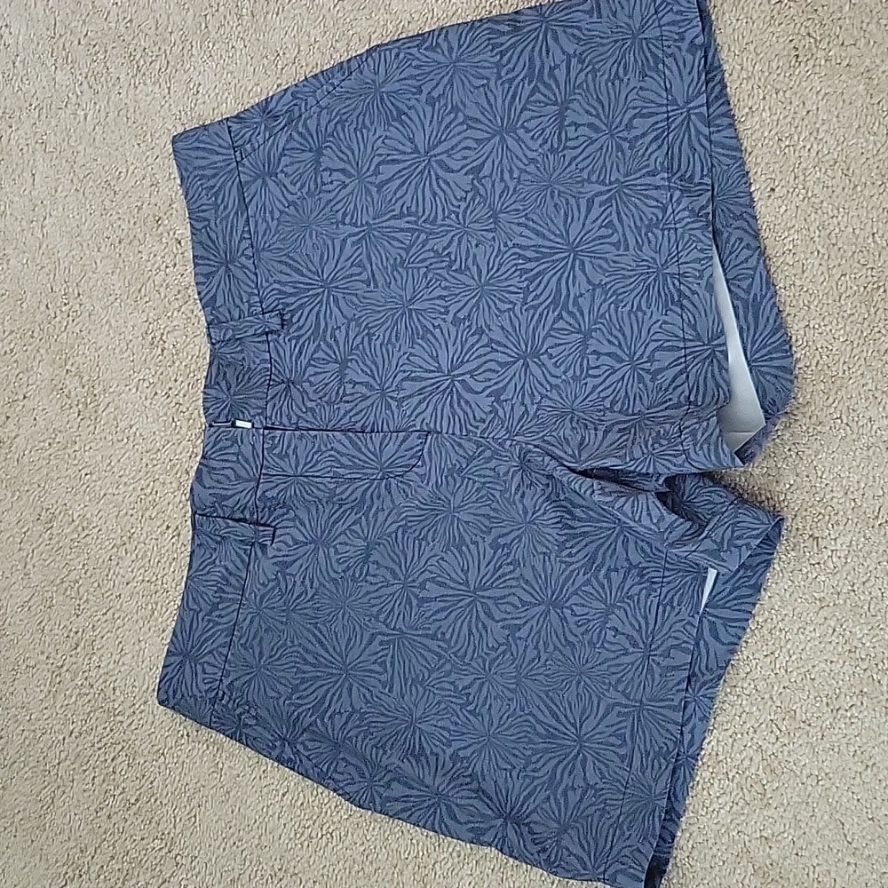 Southern Tide shorts